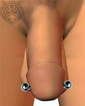 Piercing keuschheitsgürtel Chastity belt